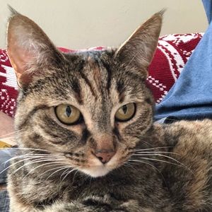 Meet your Posher, Ismael